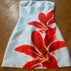 Runaway the label mini dress